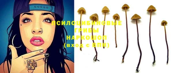 мескалин Алексин